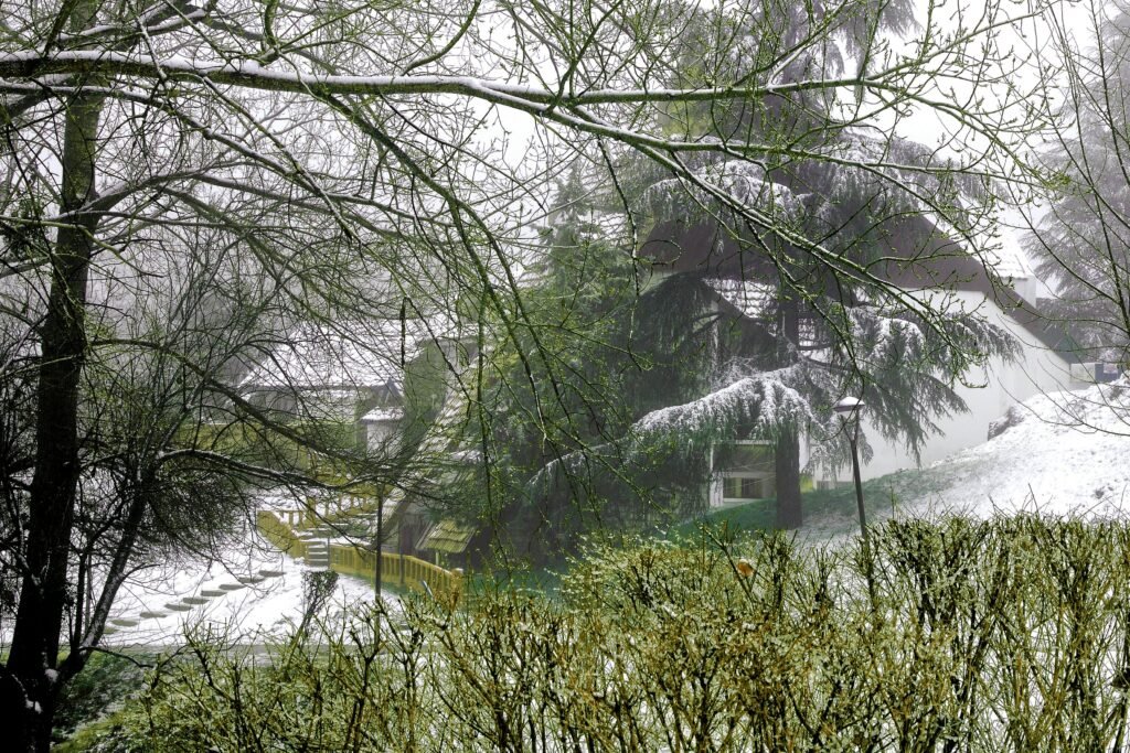 winter snow Atlas Mountains Ifrane Morocco best time to visit weather guide